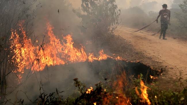 Hotspot Tersebar Di Sumatera Sore Ini Titik Di Riau Penjurupos