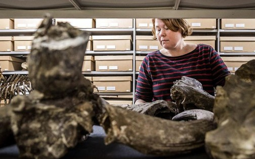 Eropa Kembalikan Barang-barang dari Negara Jajahan