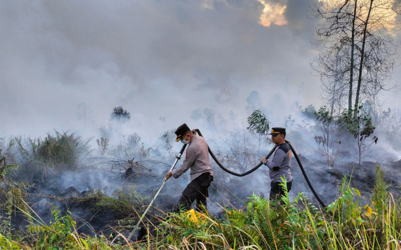Karhutla di Keluruhan Gurun Panjang, Kapolres Dumai Ikut Bantu Padamkan Api