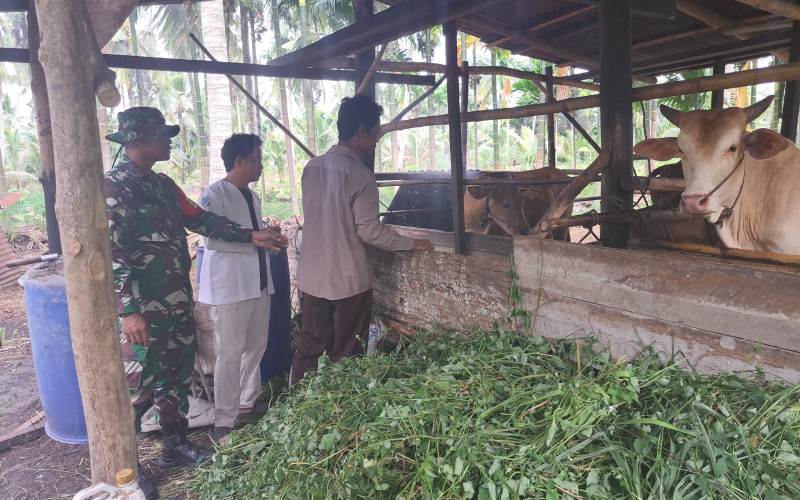 Sosialisasi Pencegahan PMK Oleh Serda Andri Widodo