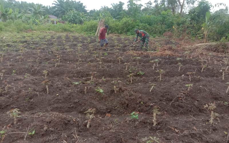 Babinsa Kelurahan Mundam Laksanakan Pendampingan Karya Nyata