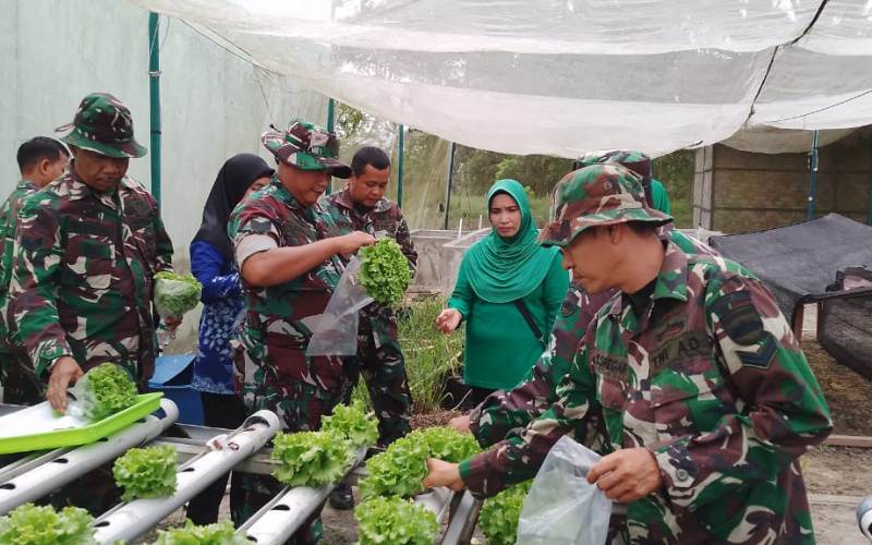 Kodim Dumai Laksanakan Giat Panen Sayur Hidroponik