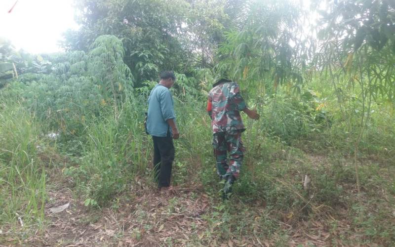 Sosialisasi Cegah Karhutla oleh Babinsa Koramil 01/Dumai