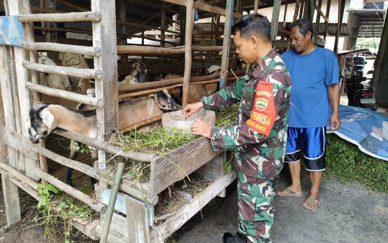 Personel Kodim Dumai Lakukan Pencegahan PMK