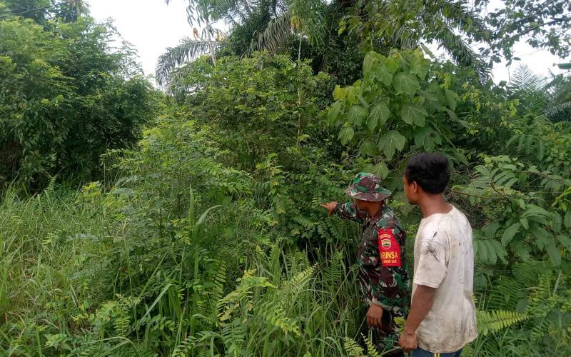Cegah Karhutla di Wilayah Rawan, Serka Suandi Laksanakan Patroli