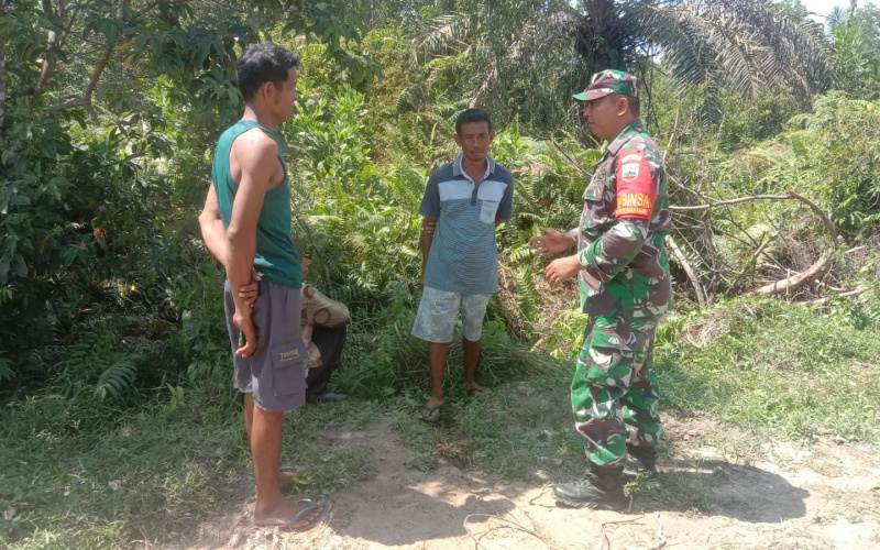 Babinsa Koramil 02/BK Lakukan Patroli Karlahut