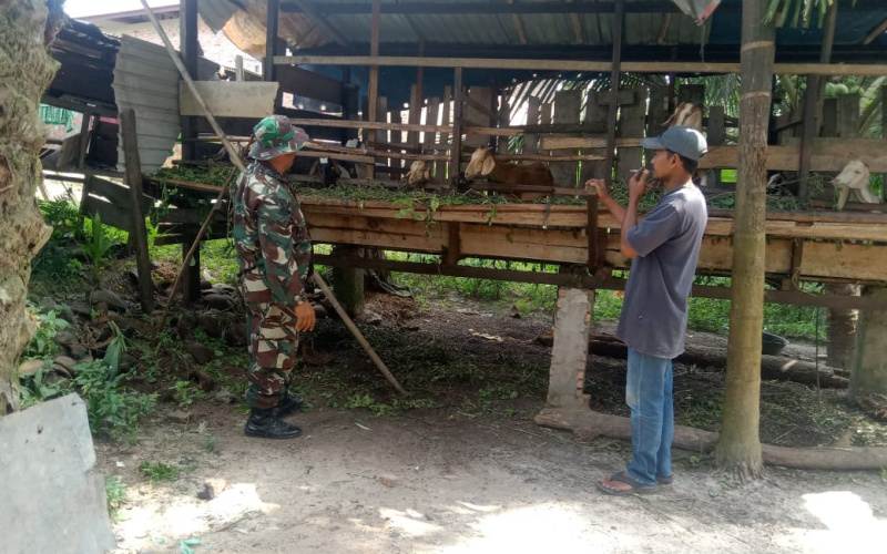 Koramil-01/Dumai Gelar Sosialisasi Kesehatan Hewan Ternak