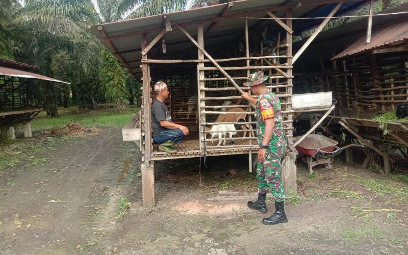 Serda Priyo Sosialisasi Pencegahan Penyakit Mulut dan Kuku di Peternakan Warga