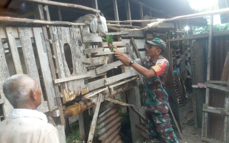 Sosialisasi Pencegahan Penyakit Mulut dan Kuku oleh Babinsa Koramil 01/Dumai