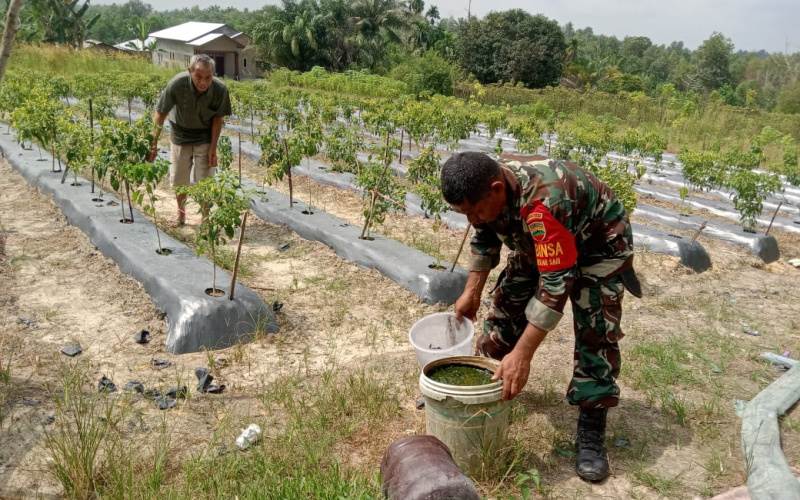 Babinsa Mekarsari Lakukan Sosialisasi dan Pendampingan Karya Nyata