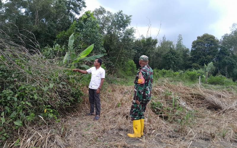 Patroli Karhutla, Babinsa Koramil 01/Dumai Sosialisasi Warga