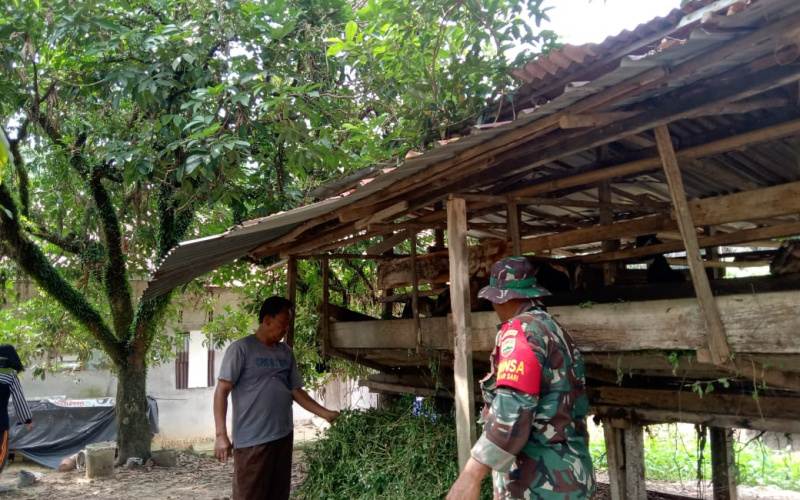 Babinsa Mekarsari Sosialisasi Pencegahan Penyakit Hewan Ternak