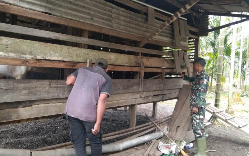 Babinsa Koramil 03/Sei Sembilan Koptu Erwan Memberikan Sosialisasi Soal Penyakit Hewan Ternak