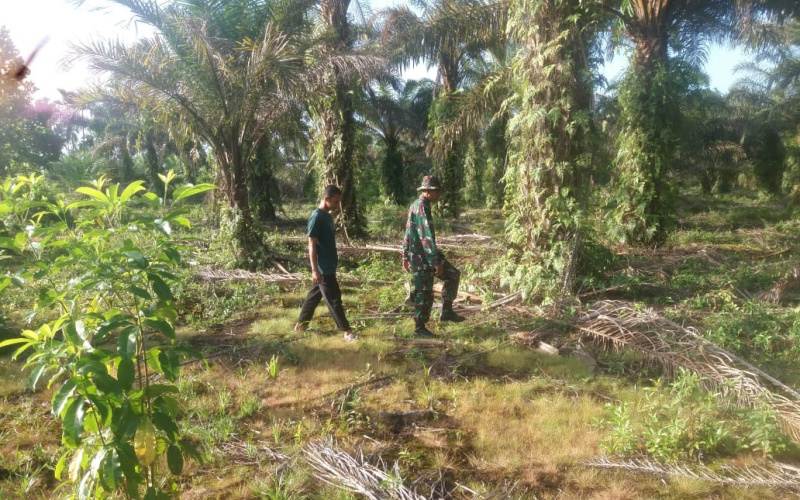 Upaya Pencegahan Karhutla, Babinsa Koramil 01/Dumai Giat Patroli