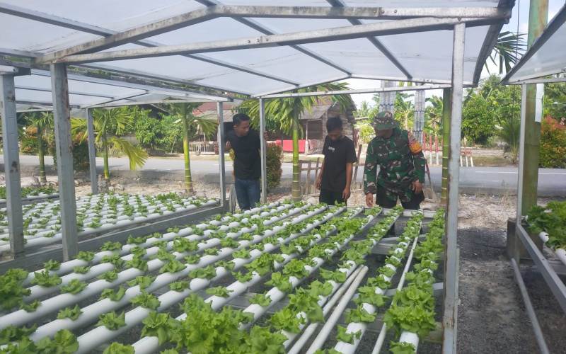 Babinsa Koramil 03 Sei Sembilan Lakukan Pendampingan Kepada Para Petani di Bangsal Aceh