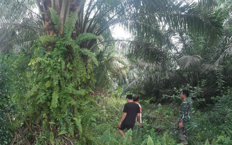 Serma Novrianto Babinsa Koramil 03 SS Laksanakan Komunikasi Sosial