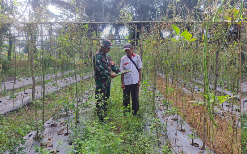 Babinsa Bukit Datuk Laksanakan Sosialisasi dan Karya Nyata di Kebun RT 01