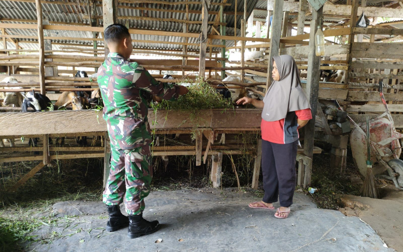 Lakukan Pencegahan Penyakit Pada Ternak Warga, ini yang Dilakukan Babinsa Jaya Mukti