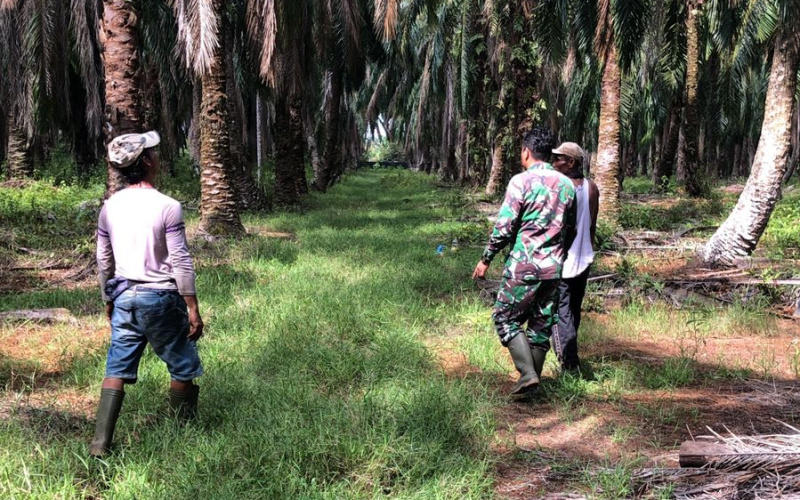 Babinsa Koramil 03/SS Laksanakan Patroli Karhutla dan Komunikasi Sosial