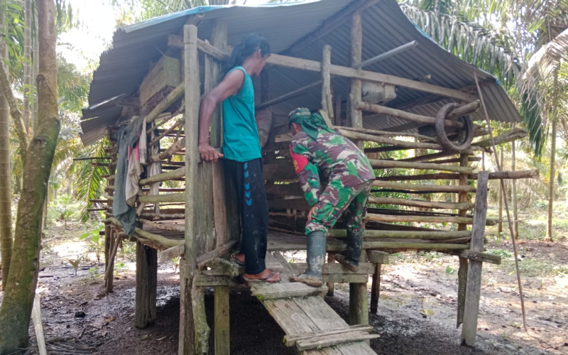 Babinsa Koramil 03 Laksanakan Pendampingan Pada Peternakan Sapi di Sei Geniot