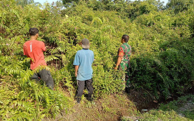 Babinsa Koramil 03 Laksanakan Patroli dan Sosialisasi Cegah Karhutla