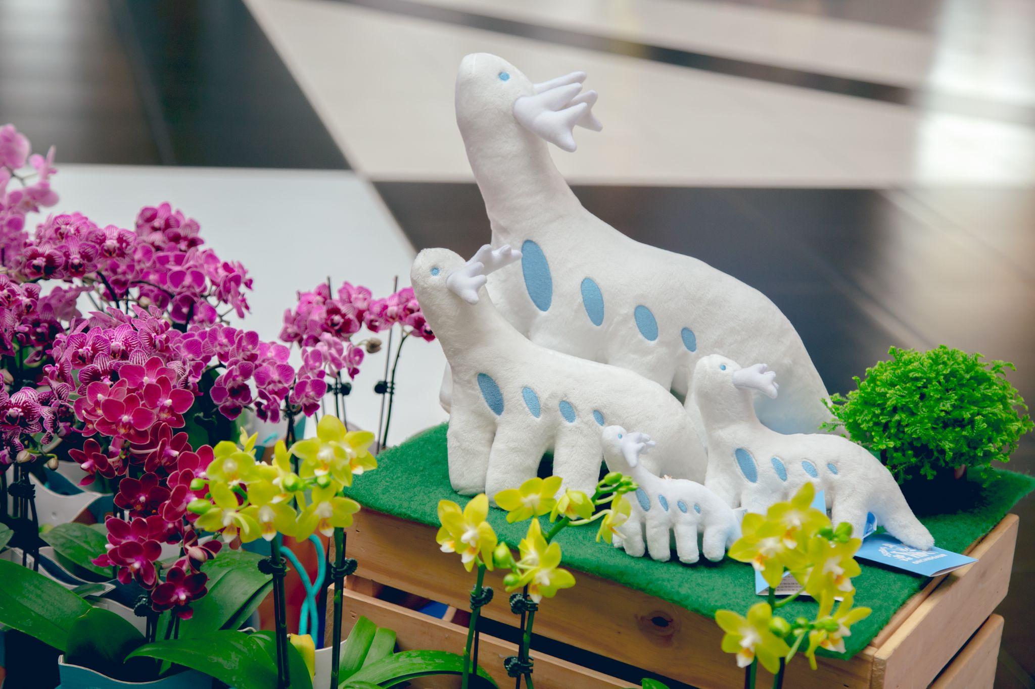 A Blooming Spectacle: The 20th Taiwan International Orchid Show and the 23rd World Orchid Conference will be held in Tainan, Taiwan