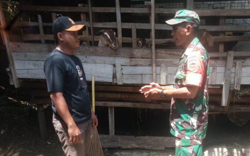 Lagi, Babinsa Bukit Batrem Sosialisasi Cegah Penyakit di Peternakan Milik Warga