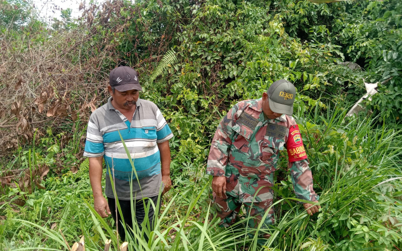 Cegah Karhutla di Wilayah Rawan, Babinsa Mekarsari Giat Patroli