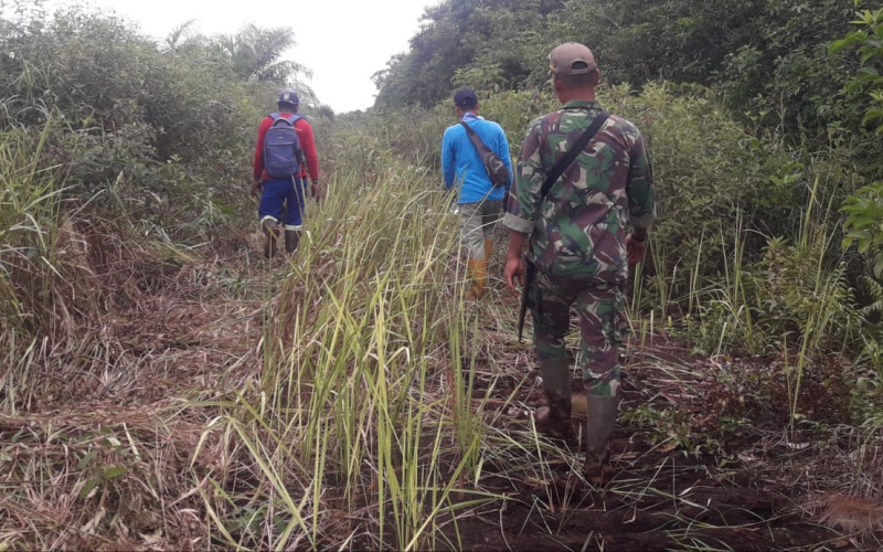 Babinsa Bangsal Aceh Rutin Sosialisasi Serta Patroli Karhutla