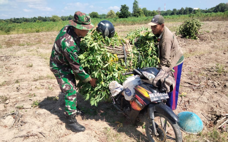 Babinsa STDI Aktif Lakukan Pendampingan Karya Nyata