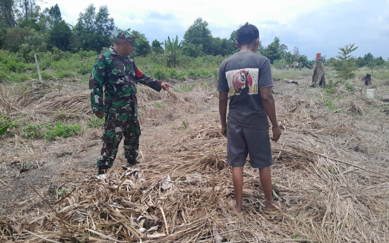 Koramil 01 Dumai Patroli Cegah Terjadinya Karhutla