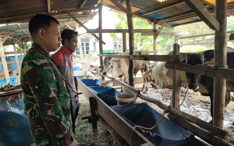 Ini Upaya Babinsa Jaya Mukti Cegah Penyakit di Peternakan Warga