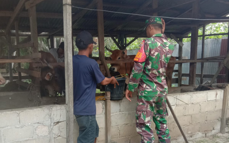 Koramil 03 SS Imbau Peternak, Pentingnya Jaga Kebersihan Kandang dan Lingkungan