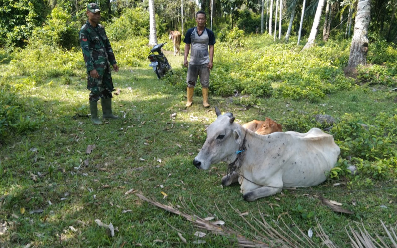 Disambut Baik Masyarakat, Babinsa Koramil 03 Sei Sembilan Sosialisasi