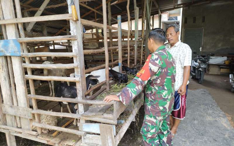 Pencegahan Penyakit di Peternakan Warga, Babinsa Jaya Mukti Lakukan ini