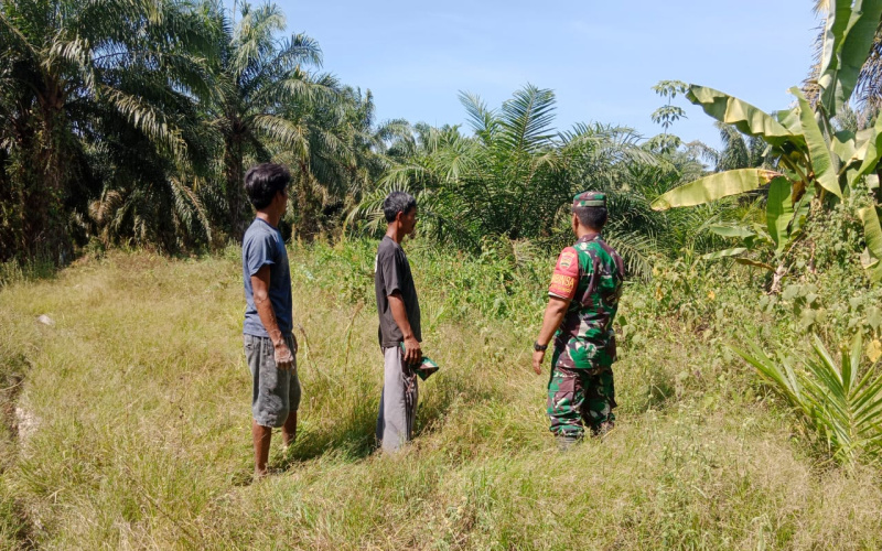 Antisipasi Karhutla di Kawasan Hutan dan Perkebunan, Babinsa Ramil 03 SS Patroli
