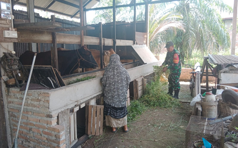 Sertu Mahyudin Sosialisasi Cegah Penyakit Menular Hewan Ternak