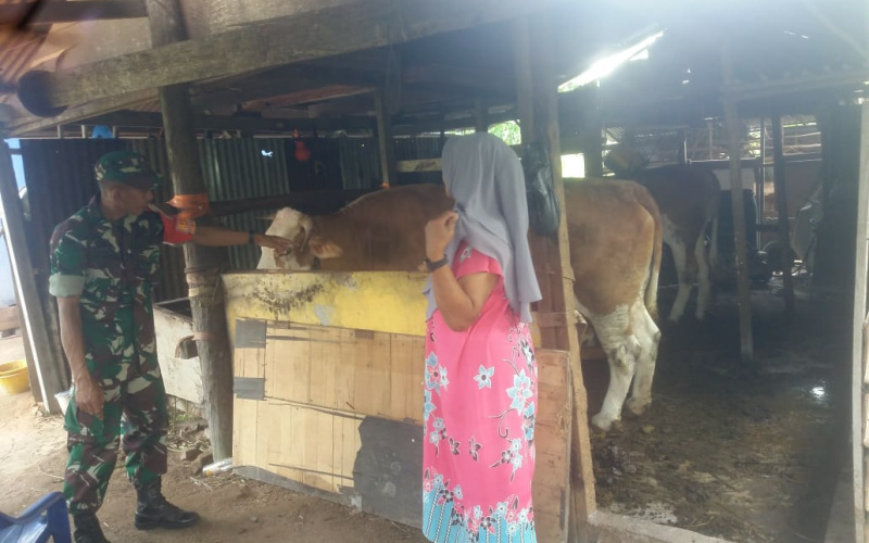 Sertu Nono Sampaikan Pentingnya Jaga Kebersihan Kandang di Peternakan