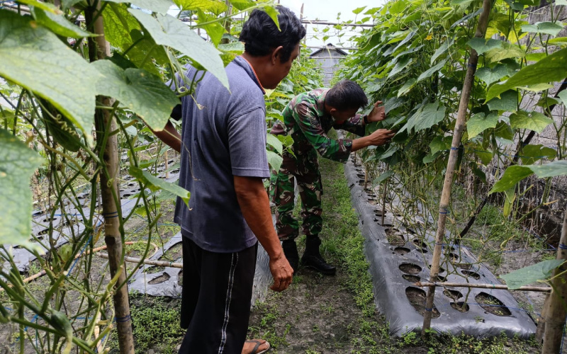 Babinsa Kelurahan Bukit Kayu Kapur Pendampingan Karya Nyata
