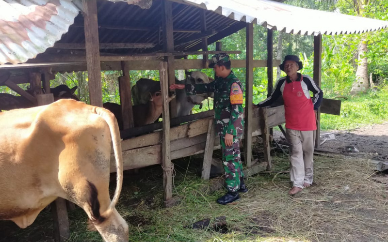 Babinsa Koramil 03 SS Berikan Edukasi Soal Kesehatan Hewan Ternak