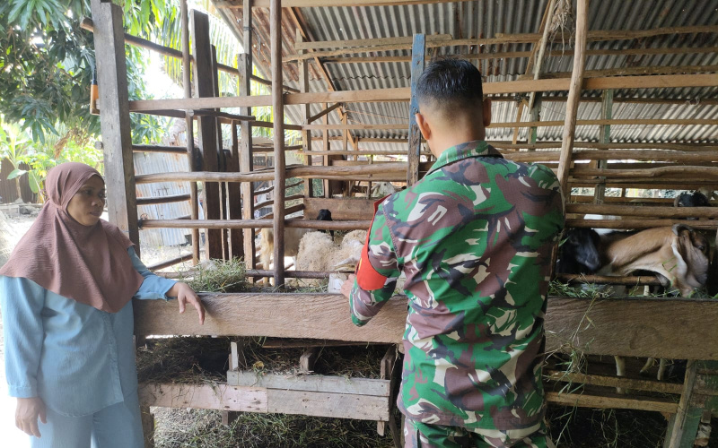 Sertu Sutarno Gencar Edukasi, Pentingnya Jaga Kesehatan Hewan Ternak