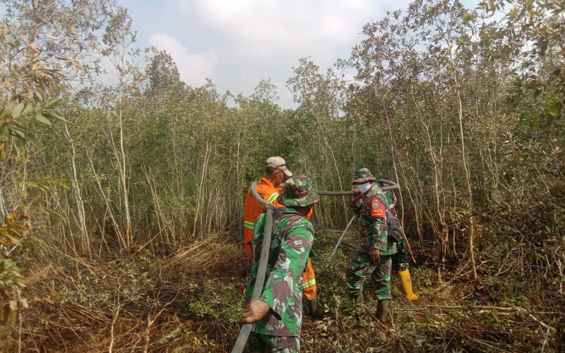 Babinsa Koramil 02 BK Respons Cepat Atasi Karhutla, Warga Apresiasi