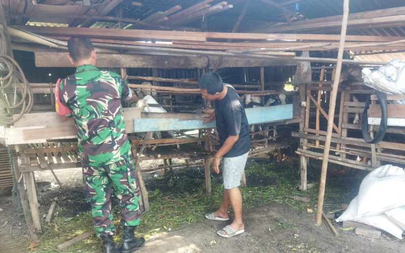 Sertu Abu Kosim Rutin Lakukan Giat Pencegahan PMK di Peternakan