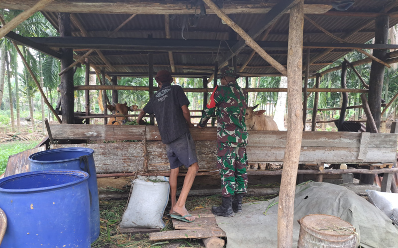 Serda Andri Widodo Berikan Tips Mencegah Penyakit di Peternakan