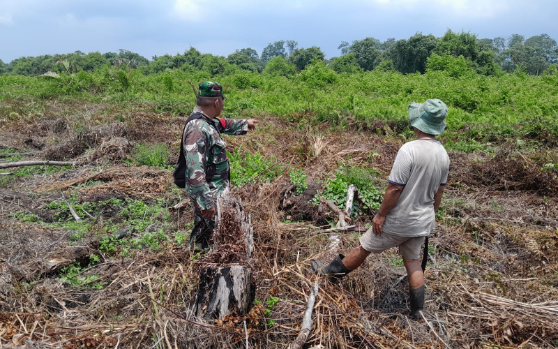 Babinsa Koramil 01 Dumai Patroli Karhutla