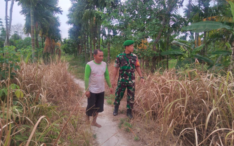 Begini Upaya Babinsa Koramil 01 Dumai Cegah Karhutla