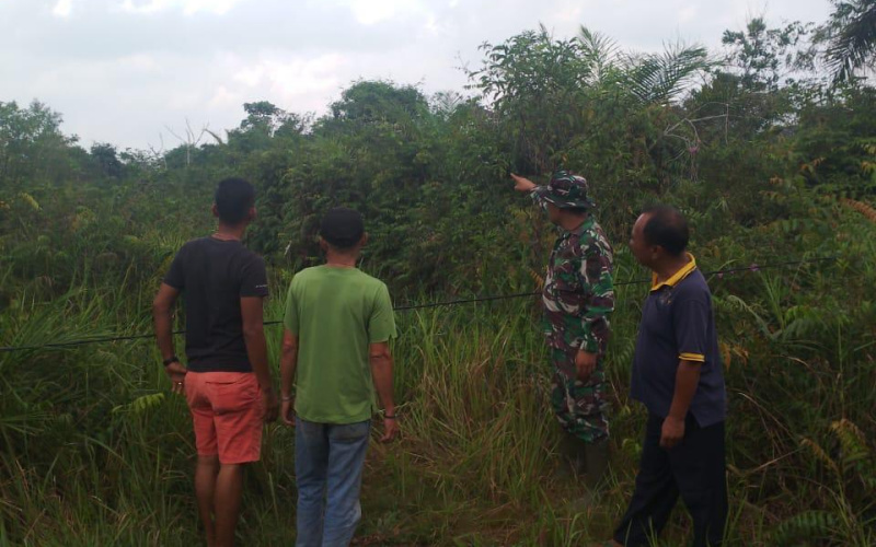 Antisipasi Karhutla oleh Babinsa Koramil 03 SS
