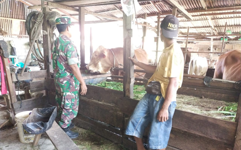 Serka Khorianto Membantu Peternak Menjaga Kesehatan