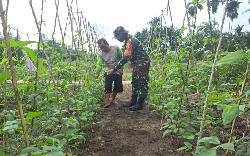 Serda Andri Widodo Rutin Giat Pendampingan Karya Nyata