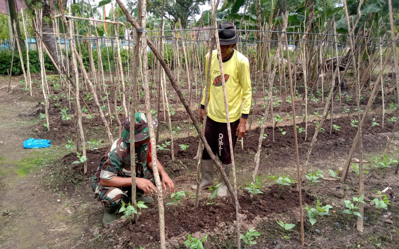 Babinsa Koramil 01 Dumai Cek Kesehatan di Peternakan Milik Warga